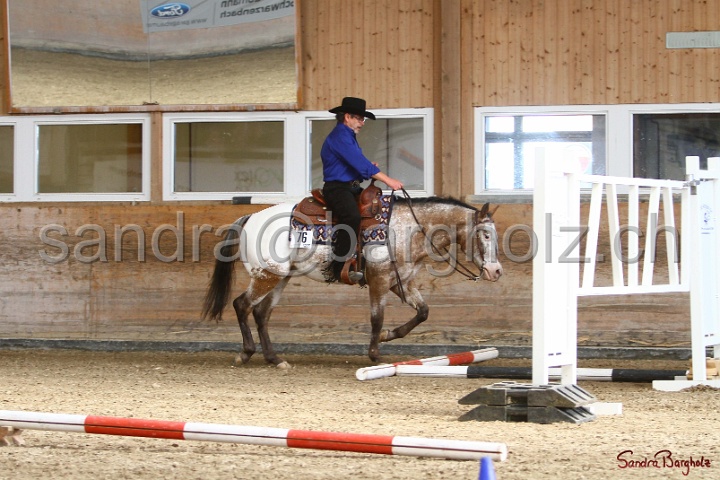 26-ApHC GT_117.jpg